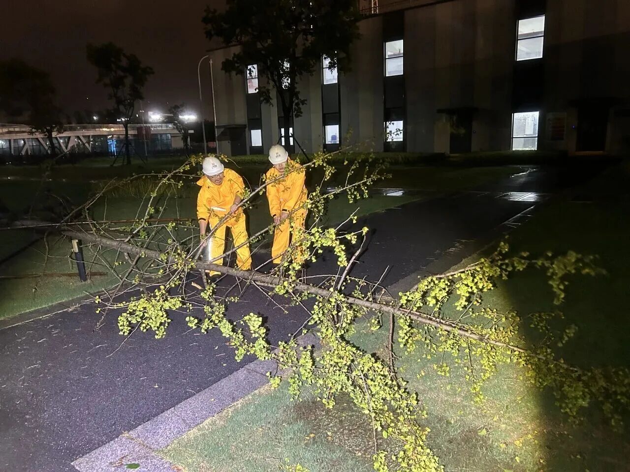 1786438421.jpg 1786438421.jpg